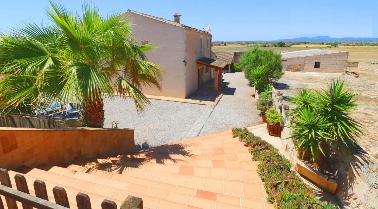 Alcoraia Villa