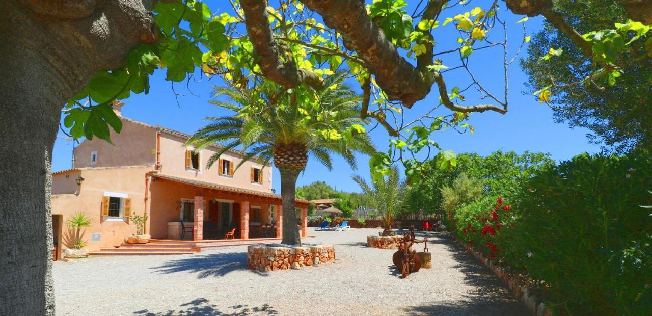 Alcoraia Villa